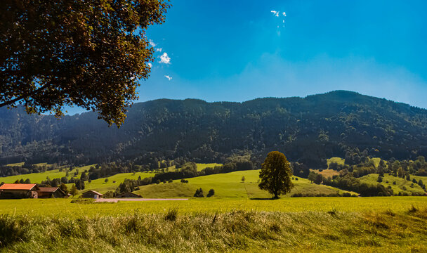 Alpine summer view near Halblech, Ostallgaeu, Bavaria, Germany