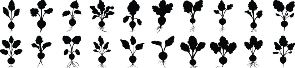 Radish silhouette set vector design big pack of vegetable illustration and icon
