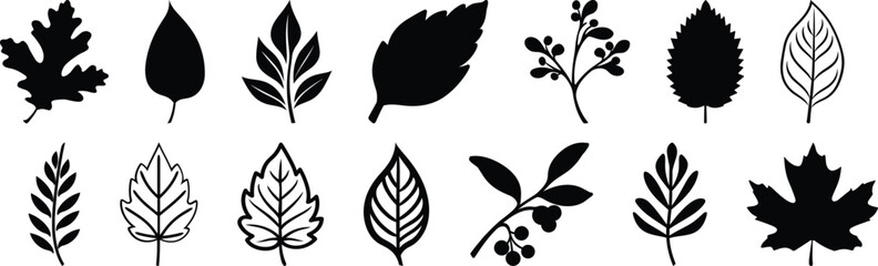 Leaf silhouettes set, tree pack of vector silhouette design, isolated background