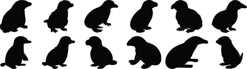 Platypus silhouette set vector design big pack of animal illustration and icon