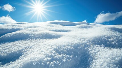Bright winter day with fresh snow under blue sky