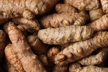 Many fresh turmeric roots as background, above view