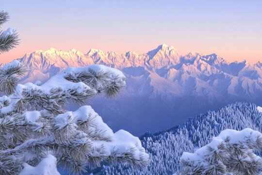 Snow-covered pine branches frame a breathtaking sunrise over a majestic, snow-capped mountain range. - Powered by Adobe
