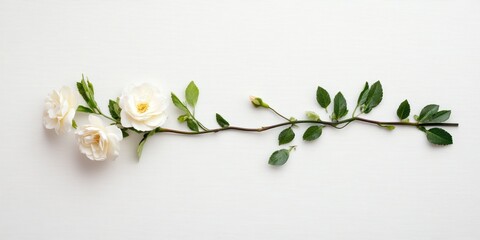 Fototapeta premium Soft white flowers gracefully arranged with verdant leaves create a magical touch ideal for Women's Day, Valentine's Day, and birthdays during springtime