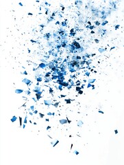 Broken Blue and White Pieces