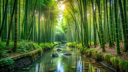 Fototapeta premium Serene bamboo forest with a tranquil stream flowing through it surrounded by tall green bamboo plants and vibrant lush greenery, peaceful, outdoor scene