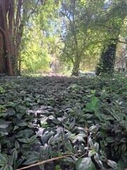 Jard&iacute;n Bot&aacute;nico