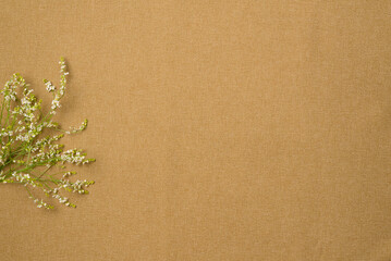 Flowers on fabric background. Flat lay, top view. Copy space