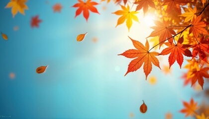 Colorful autumn leaves float against vibrant blue sky. Sunlight shines through leaves creating beautiful autumnal scene. Picturesque autumn landscape for backgrounds, banners. Beauty of fall foliage