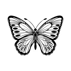Beautiful butterfly vector illustration with wings flying in nature on a white background, black and white PNG 