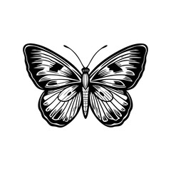 Beautiful butterfly vector illustration with wings flying in nature on a white background, black and white PNG 