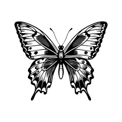 Beautiful butterfly vector illustration with wings flying in nature on a white background, black and white PNG 