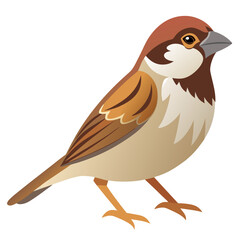 Sparrow Bird Vector Illustration - Cartoon, Clipart & Line Art Design on White Background, Sparrow bird vector illustration in cartoon, clipart, and line art style with a white background.