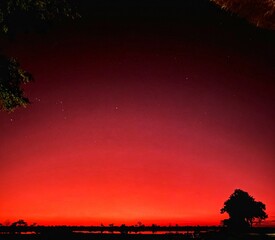 Fototapeta premium red sunset in africa 