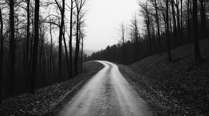 Obraz premium Winding road through a grayscale forest landscape.