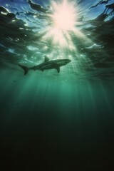 Fototapeta premium Great white shark in dark waters. Ocean apex predator. Marine life, shark. 