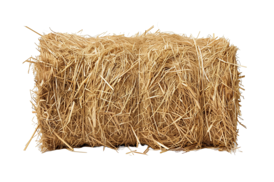 Hay Bale for Seasonal Decor Isolated on Transparent White Background Suitable for Autumn and Harvest Themes