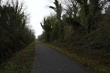 a walk on the granite way in Devon, a cycle route that was once a railway traveling though Dartmoor near Meldon