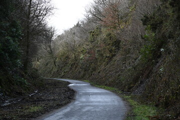 a walk on the granite way in Devon, a cycle route that was once a railway traveling though Dartmoor near Meldon