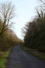 a walk on the granite way in Devon, a cycle route that was once a railway traveling though Dartmoor near Meldon