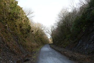 a walk on the granite way in Devon, a cycle route that was once a railway traveling though Dartmoor near Meldon
