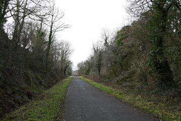 a walk on the granite way in Devon, a cycle route that was once a railway traveling though Dartmoor near Meldon