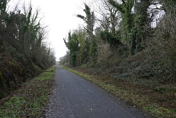 a walk on the granite way in Devon, a cycle route that was once a railway traveling though Dartmoor...