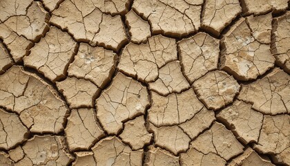 Close-Up of Cracked Dry Earth Texture with Sharp Details and High Contrast