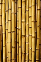 Tall bamboo stalks arranged closely together creating a natural backdrop in a lush environment