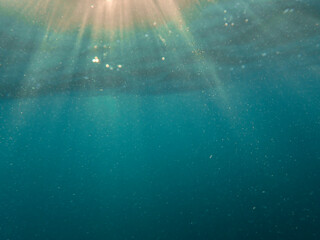 underwater, foam, reflection, bubble, bubbles, sea, undersea, background, rise, crystal sea,...