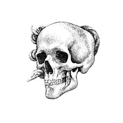 Vintage Engraved Skull with Snake Illustration