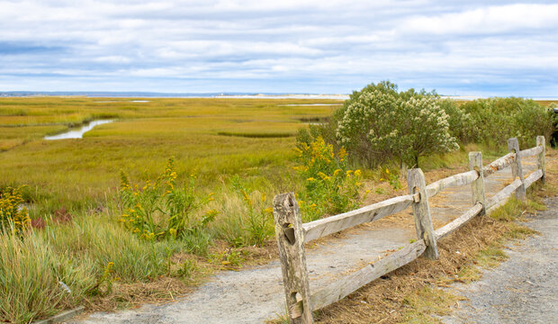 Cape Cod  salt marsh and wooden elevated walkways