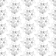 lily pattern 22.01.25-25