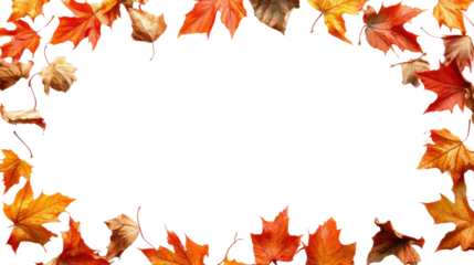 Falling autumn maple leaves frame on transparent background