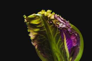 Closeup of the surface of a small piece of red cauliflower against a black background