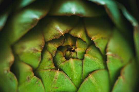 Closeup overhead shot of a raw artichoke, shallow focus