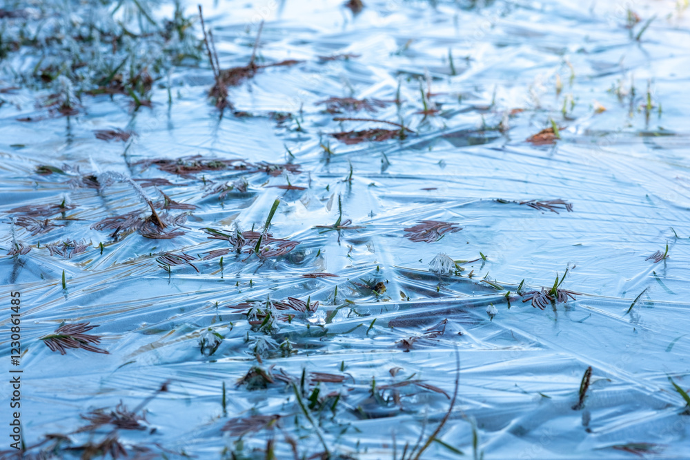 Poster a thin sheet of ice covers a patch of grass creating a delicate abstract pattern