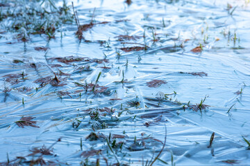 A thin sheet of ice covers a patch of grass creating a delicate abstract pattern
