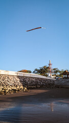 Beach Scene with Stone Wall and Sandy Shore