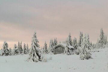 Serene Winter Landscape with Snow-Covered Cabin