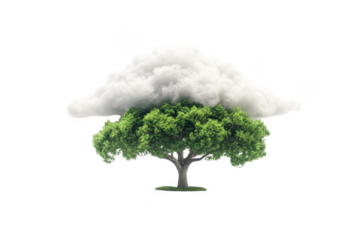 Tree Grows Under Cloud Representing Environmental Balance and Harmony Concept.