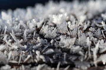 美しい雪の結晶