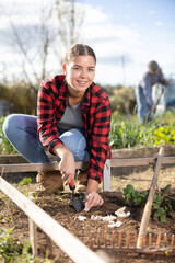 Young woman farmer in plaid shirt using chopper to plant garlic in soil in vegetable garden on sunny day in spring