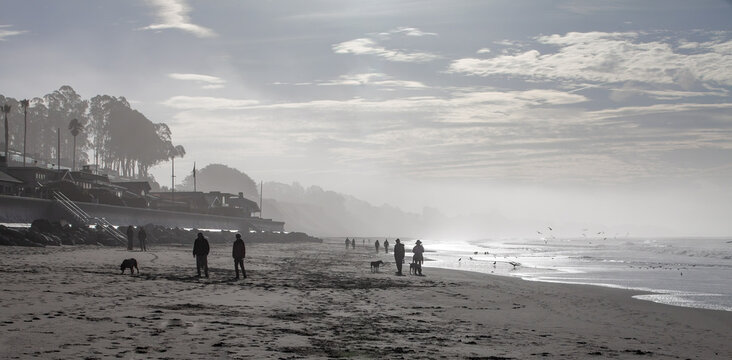 A serene black and white photograph of people walking with their dogs along a beach in Aptos, California, with gentle waves and a misty horizon creating a tranquil atmosphere.