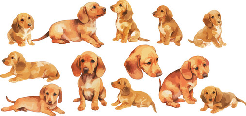 Dachshund Puppies watercolor clipart