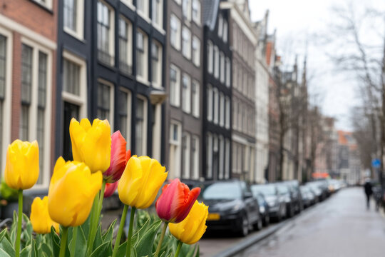 A bouquet of yellow - Powered by Adobe
