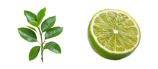Fresh Lime and Leaf on Transparent Background