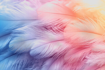 Fototapeta premium Vibrant collection of colorful feathers arranged in a visually striking pattern suitable for use as wallpapers or backgrounds for various design projects
