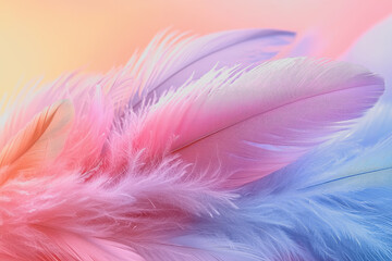 Obraz premium Colorful feathers background design for wallpapers featuring a variety of vibrant feather patterns and textures ideal for creative projects and nature-themed applications
