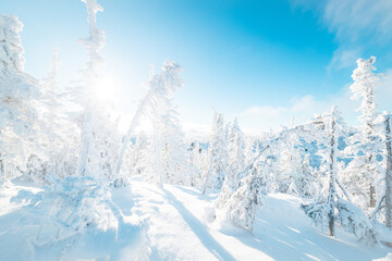 Paysage hivernale au sommet du parc national des Monts-Valin, dans la Vallée des fantômes enseveli sous la neige.